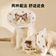 KimPets Elizabethan circle deepens pet anti-licking artifact cat sterilization collar dog headgear Elizabethan shame circle dog beige bear anti-biting and anti-licking non-neck S- neck circumference recommended weight 6-10Jin Jin equals 0.5 kg