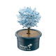 Science small experiment set planting magic tree elementary school student DIY handmade children's toys Crystal magic tree set-transparent