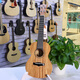 Kaka ukulélé kaka 25d acajou placin ukulélé masculin et féminin débutants débutants guitare 23 pouces KUC-25d Veneer Wood Color Original Sound Modèle