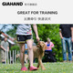 GIAHAND competition grade P rope fine dog training P chain dog walking small and medium-sized dog rope explosion-proof pet dog leash, extremely night black, total length 1.5 meters, suitable for training, dog walking