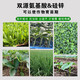 Special foliar fertilizer for nursery, insect-proof, strong pole, shortening cycle, nutritional balance, amino acid fertilizer, suspended silicon, dual-source amino acid suspended silicon zinc, 2 bottles