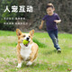 Huayuan Pet Toy (hoopet) dog toy tennis ball is a chew-resistant, self-stimulating and boredom-relieving artifact for medium and large dogs that consumes energy and is a pet product artifact.