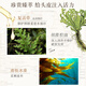 
Plant quotations Plant voice Resurrection grass oil control fluffy shampoo 750ml oil head flattening special