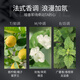韩方五谷泡沫发蜡弹力护卷摩丝烫卷发喷雾保湿定型蓬松弹力素男女士450ml