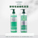 Rene Furterer Pequeñas cuentas verdes Strong Oil Control Shampoo 600ml Cabello anti-brotes refrescante Cabello suave y limpio alto craneal champú