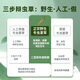 Guokuntang Wild Cordyceps Sinensis, Nagqu, Tibet, New Cordyceps Sinensis Box Box Box 4 / G5G Pack d'environ 20