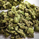 Jiangxi Xiushui authentic wild green-money willow golden-money willow tender leaves granules Chinese herbal health tea 500-year-old wild green-money willow tender leaves 100 grams in total 500-year-old wild green-money willow tender leaves tea