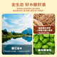 
Liquan Beer 1998 Small Degree Special Brew 8% 500mL*12 Bottles Full Box Wedding Banquet Wine Gift for Self-Drinking