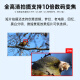 佳能（Canon）[至高24期免息]EOS R10 微单相机 APS-C画幅 高速连拍 全景拍摄 小巧轻便 RF-S18-45F4.5-6.3 原装未拆封套机 套餐三 进阶套餐 128G高速卡+699