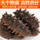 Meifengtang ready-to-eat sea cucumber Dalian individually packaged fresh wild bottom sown Liao cucumber and sea cucumber seafood New Year's goods 16-20 pieces 500g