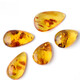 DL 1998 Fat Donglai Quality Amber Breswax Stone brut Tianl Flower Amber Water Drop Shape One Picture Tianl Ran Golden Woman Sweater chaîne G3878