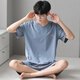 Langsha men's pajamas ice silk modal touch can be worn outside summer V-neck simple casual home clothing set 3518 L