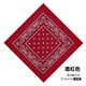 Schöne trendige Männer und Frauen Retro Hip Hop Motorrad HipHop Streetstyle Cashew Blume Schal Square Schal Street Tanzhose Dekoration Wein Rot Muster Square Schal