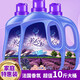 优观【新人专享】5斤薰衣草香洗衣液大桶实惠装洗衣服香水味 一份0.5斤10份发[一瓶共五斤]