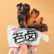 天顶香Tiandsen天顶香老卤鸭翅根卤味肉食香辣麻辣开袋即食小零食休闲解馋零食 [买450送225]发675克(15根划1