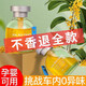 Jishe Car Aromatherapy Car Perfume Air Freshener Toilet Deodorant Artifact Car Deodorant Fragrance Long-lasting Fragrance Osmanthus Fragrance Single Bottle