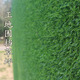 Engineering fence lawn cloth artificial simulated fake turf paving green mesh plastic carpet outdoor decoration green wall 1.5 emerald green encryption without adhesive 2 meters x 25 meters
