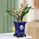 Yuxuantang Chinese ink style ceramic retro flower pot household desktop succulent pots Wenzhu June snow Clivia landscape pot YYX1429 with base