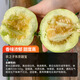Nongzhi R Ben Tianbao melon seeds honeydew melon Nongzhi Fuji Tianbao melon seeds 2g 2 bags