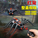 Creation Art Children's Electric Remote Control Spider Toy Douyin Los mismos 5 Internet Celebrity Simulation Small Animales de 4 a 6 años de niños y niñas [Versión clásica - Control remoto Ladybug] Modelo rojo 9922+ Destornillador que incluye 6 estándar oficial estándar