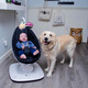 4MOMS美国婴儿电动摇椅mamaroo5.0新生儿安抚摇篮宝宝哄睡哄娃神器礼物 新款5.0 高级灰蓝牙款