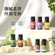Huiles essentielles de massage, huiles essentielles du corps, salons de beauté, grattage corporel Massage Massage Produits de soins de la peau, huiles essentielles au gingembre, HXM9274 Osmanthus 1
