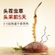 Ayishe Cordyceps sinensis 3-4 roots/g10g about 36 roots Cordyceps gift boxes for elders Dragon Boat Festival gifts