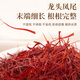 Beijing Tongrentang [Authentic Tibet] Saffron men and women soak in water to drink gift box saffron to replenish qi and blood wholesale saffron ten bottles of fine gift box [Send tweezers to say