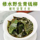 Qingqian Liuyuan Tea de té de hoja Auténtico Jinqian Liu Té de té de azúcar sin agua Jiangxi xiushuiyuan Ecológico Ancient Tree Health Tea 500G