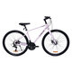 Rex LAUX Hurricane RS200 level highway car 700C aluminum alloy Shimano 21 speed disc brake Chameleon gray 21 speed 700C 470mm