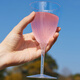 Badger disposable champagne glasses 210ml 8 pieces red wine glass plastic cocktail grape tall transparent wine glass