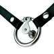 INS Double Tornillo de acero inoxidable Placa plana Número de electrodo Número de electrodo Penis Caza Masculino Deseo Maseo Lock Pasión Bloqueo CB CB Bloque