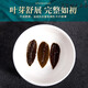 [Vendido directamente en la farmacia] Renhe Pharmaceutical Renhe Qingqianliu Té No Wild tierna Bobina Té de té de té Presión baja en grasa baja azúcar La presión arterial alta se puede usar para dar regalos para el burdo, calamar de maíz, té de hoja de mora tres cajas de ciclos de ciclos paquete