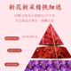 伊朗原产进口全红长丝藏红花5g头茬珍品女士红花中药材 250克（须礼盒装联系客服）