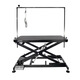 Zhuang Chong pet grooming table dog and cat grooming table electric lifting bath holder blowing table folding table 007B standard version