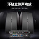 Soaiy Home Cinema KTV Audio Audio Set de 10 pulgadas Conferencia comercial Home Equipo de baile Equipo Karaoke Bluetooth Amplificador de audio de 5.5 pulgadas + sin micrófono