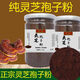 Huasetang Changbaishan Ganoderma spore powder authentic Toudao Ganoderma spore powder authentic spore oil 500g 100g Ganoderma spore powder [100g]