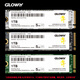 光威（Gloway）1TB SSD固态硬盘 M.2接口(NVMe协议) PCIe 4.0x4  7450MB/s 长江存储TLC颗粒 弈系列 