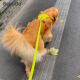 BeauGo dog leash waterproof leash dog leash large dog small dog comfortable grip pet leash fluorescent green 1.2M19mm width-large dog