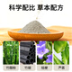 Old Beijing Foot Patch Foot Care Moxibustion Mugwort Mugwort Foot Sleeping Acupoint Patch Warming Foot Warming Foot Patch Old Beijing Foot Patch 20 Patch