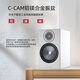 天逸(Winner)AD-86D多功能超甲类家用功放机大功率发烧级HiFi功放音响套装2.0高保真数字功放 天逸AD-86D +Bronze 铜100