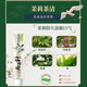 两面针（LMZ）四味针火牙膏 护龈健齿 清新口气 草本中药牙膏缓解口腔问题 强健护龈【留兰香】*1支