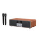 Shanshui T76S upgraded version of family ktv audio set 2025 new karaoke amplifier audio all-in-one T76 desktop karaoke audio home TV wireless Bluetooth speaker Shanshui T76S [without system]