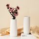 Mu Ding Ding simple style ceramic art vase white home living room with flowers for decoration high-end birthday gift