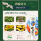 两面针（LMZ）四味针火牙膏 护龈健齿 清新口气 草本中药牙膏缓解口腔问题 强健护龈【留兰香】*1支