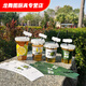 Hua'anjia Commercial Wholesale Stalls Handmade Lemon Tea Disposable Cups with Lid, Cup + Flat Lid + Straw + Anti-leak Paper + Cup Cover 100 pieces 500ml