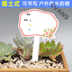 Xushansi Kindergarten Simulation Pot Brand Gardening Simulation Flower Pot Simulation Label Signage Succulent Care Brand DIY Handmade YHCD-32 10x16cm
