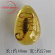 DL 1998 Fat Donglai quality amber insect specimens real insect amber children's excavation archaeological blind box insect amber accessories students gold amber scorpion 1
