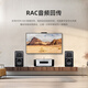 天逸(Winner)AD-86D多功能超甲类家用功放机大功率发烧级HiFi功放音响套装2.0高保真数字功放 天逸AD-86D +Bronze 铜100