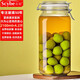 Scybe sealed jar wine container special bottle glass sealed jar pickle jar wine glass bottle Scybe 2100ml